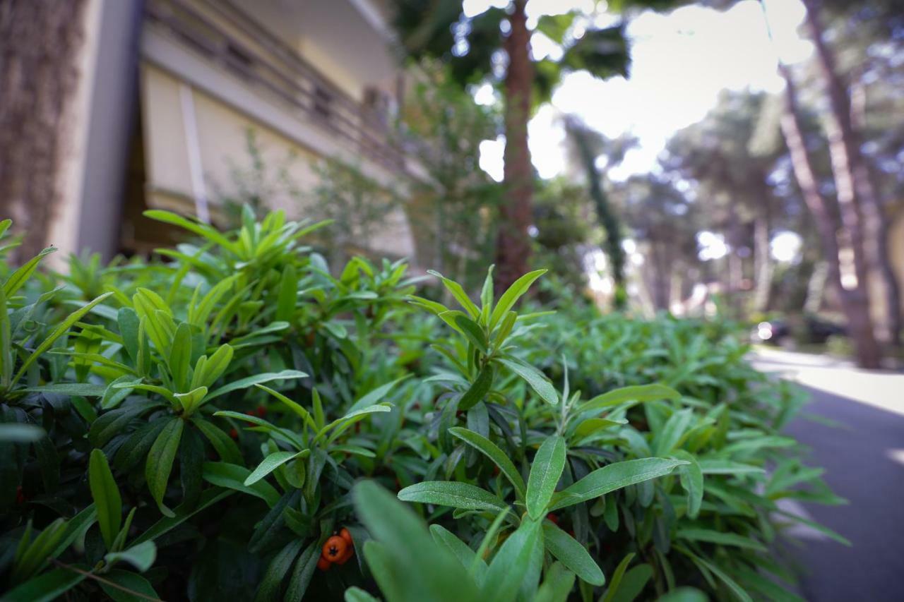 Pine-Tree Apt W/ Private Garden 50 M From The Sea ゴーレム エクステリア 写真