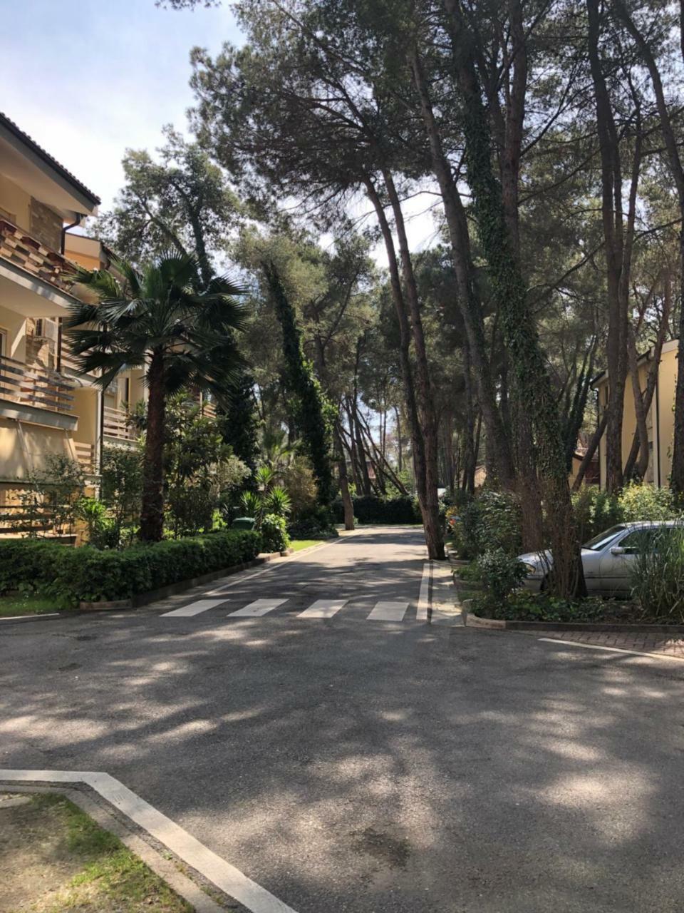 Pine-Tree Apt W/ Private Garden 50 M From The Sea ゴーレム エクステリア 写真