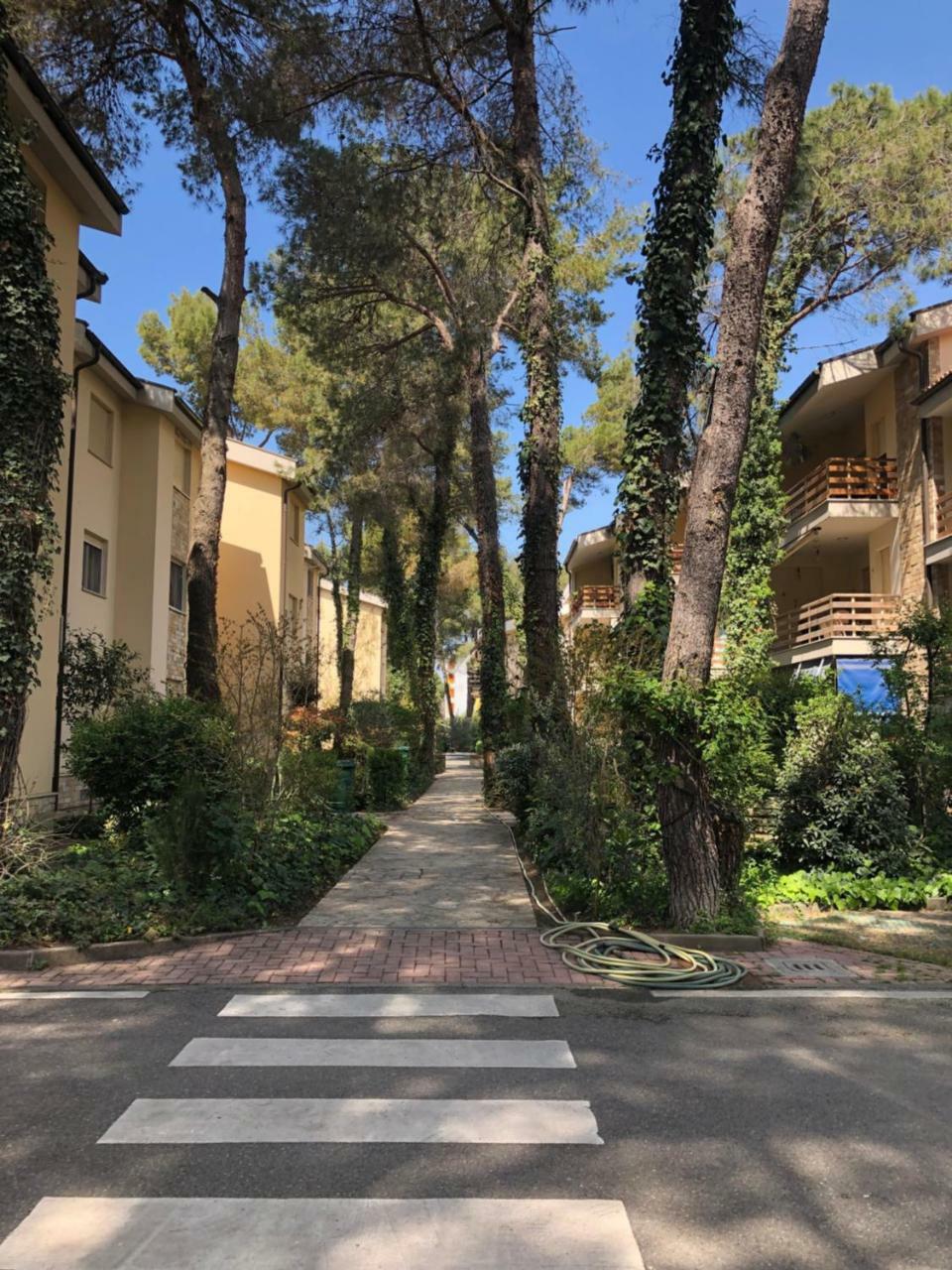 Pine-Tree Apt W/ Private Garden 50 M From The Sea ゴーレム エクステリア 写真