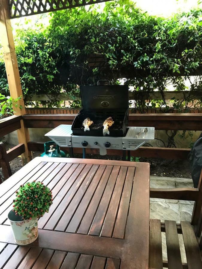 Pine-Tree Apt W/ Private Garden 50 M From The Sea ゴーレム エクステリア 写真